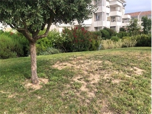 t2 à la location -   13380  PLAN DE CUQUES, surface 45 m2 location t2 - UBI482192108